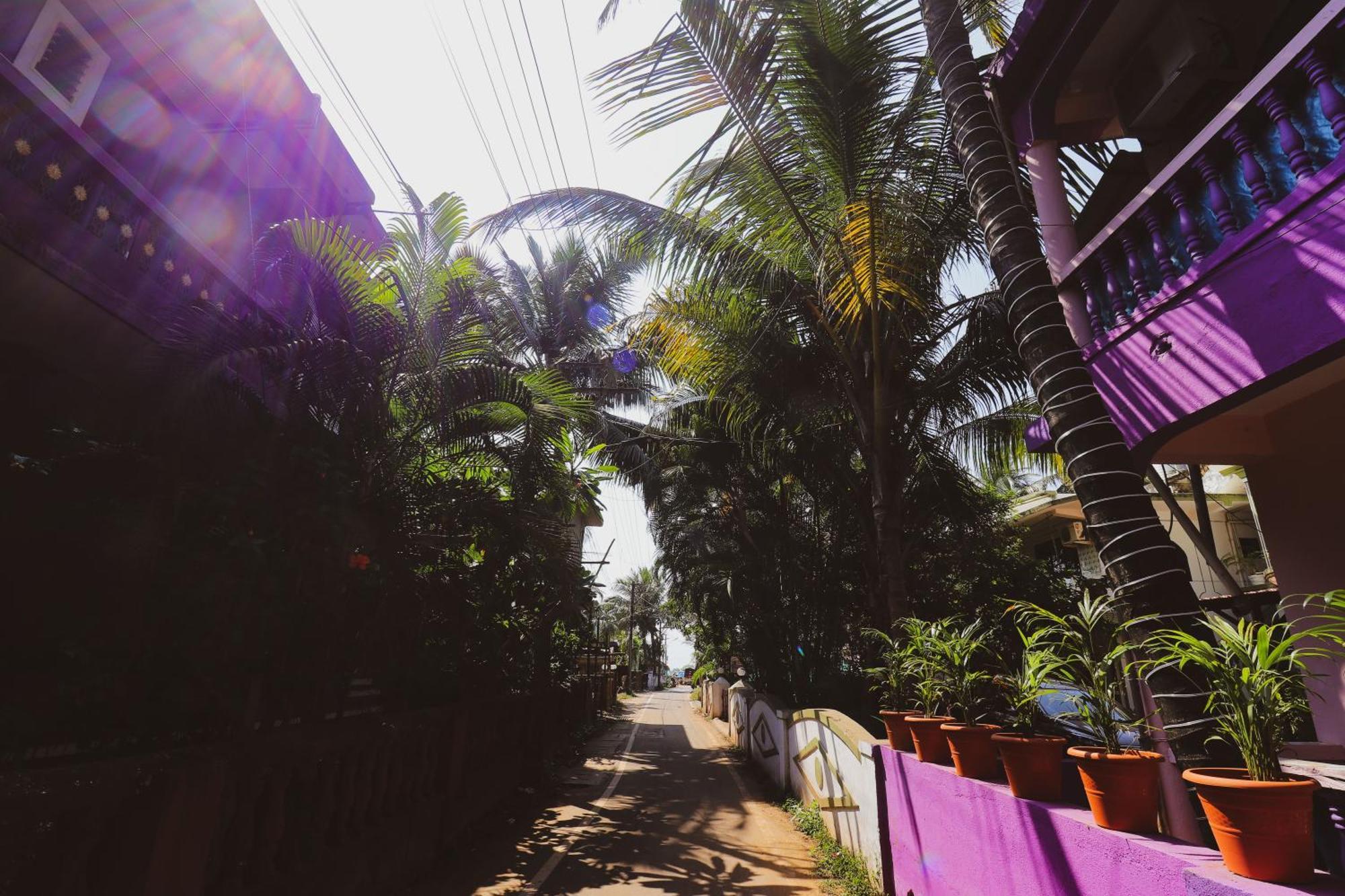 Ocean View Cottage Calangute Extérieur photo